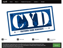 Tablet Screenshot of cayoungdems.com